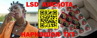 стаф Будённовск
