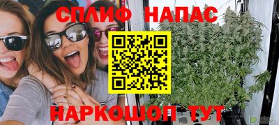 стаф Будённовск