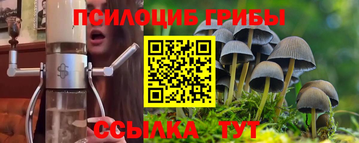 Галлюциногенные грибы Psilocybine cubensis Ярцево