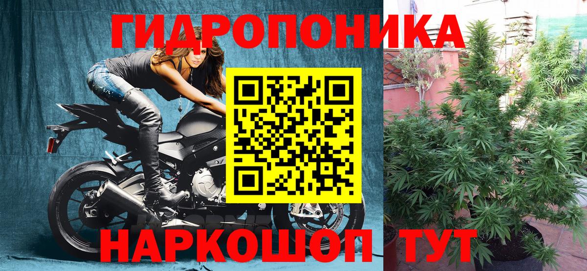 Бошки марихуана MAZAR  Вход с VPN  Конопля LSD WEED  Ярцево 